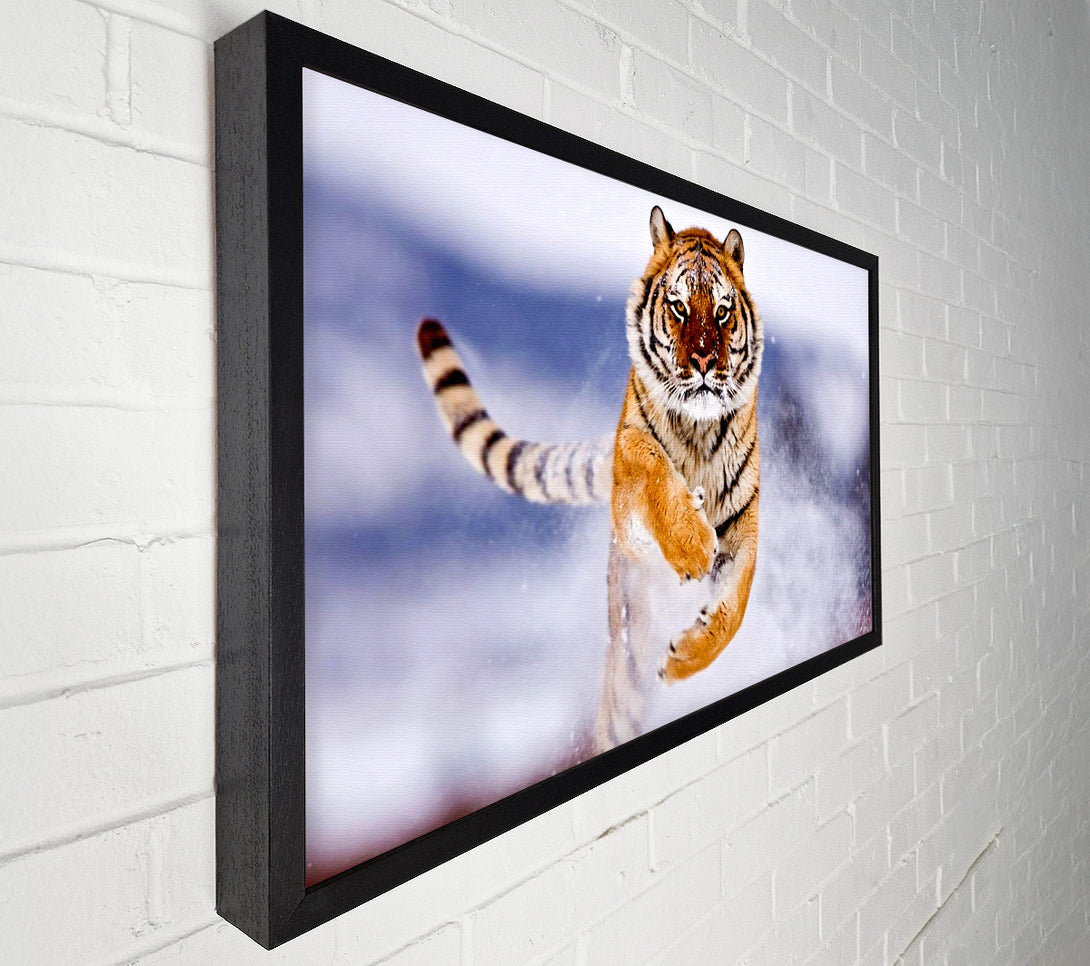  A Canvas Print of Running Snow Tiger Canvas Art