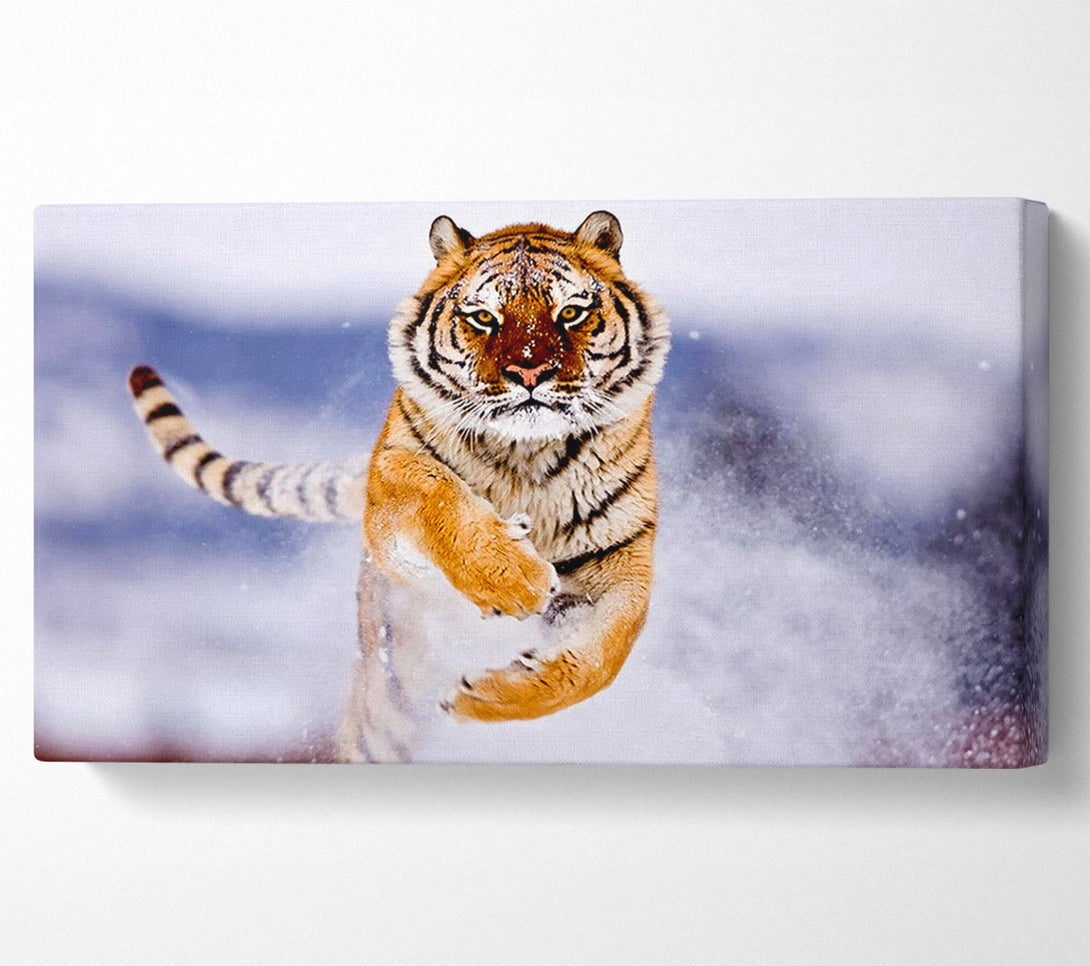  A Canvas Print of Running Snow Tiger Canvas Art