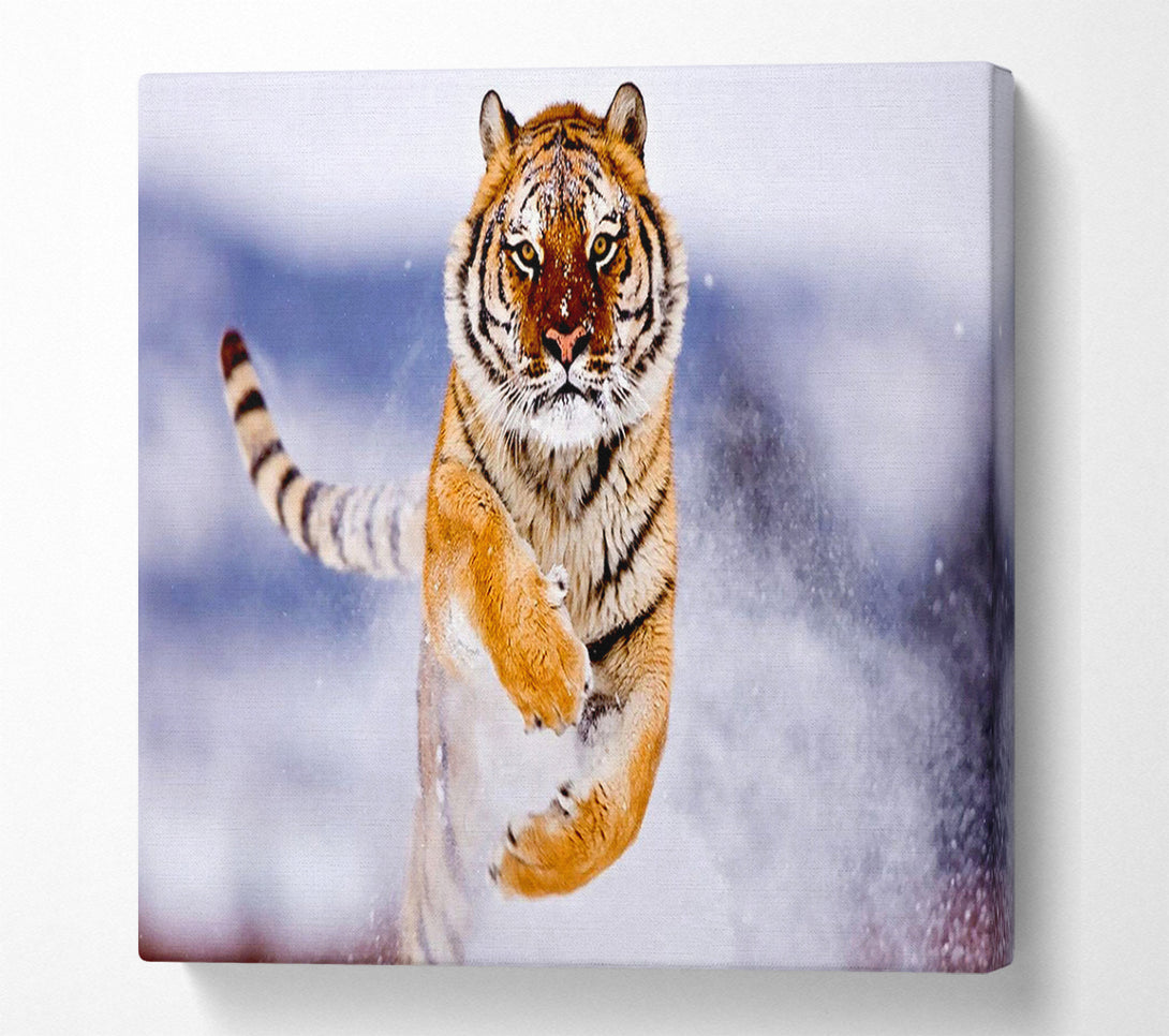  A Canvas Print of Running Snow Tiger Canvas Art