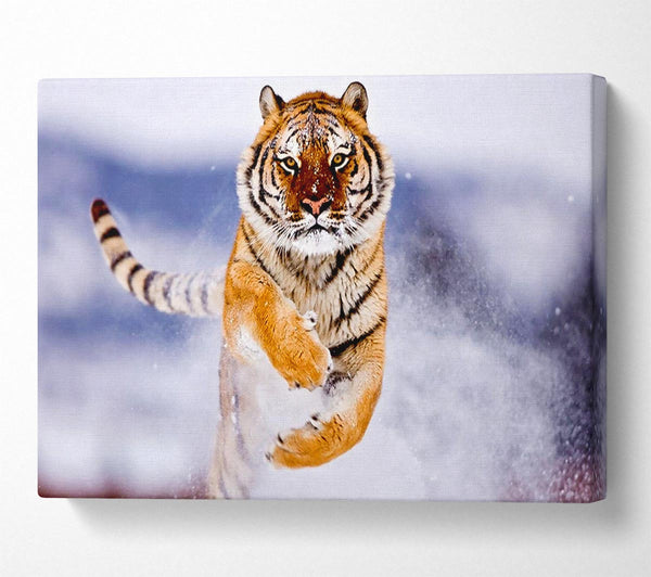  A Canvas Print of Running Snow Tiger Canvas Art