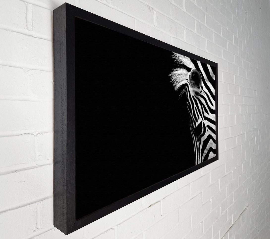  A Canvas Print of Sad Zebra Canvas Print