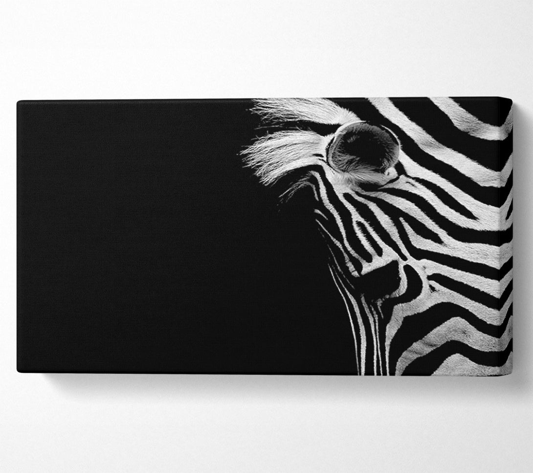  A Canvas Print of Sad Zebra Canvas Print