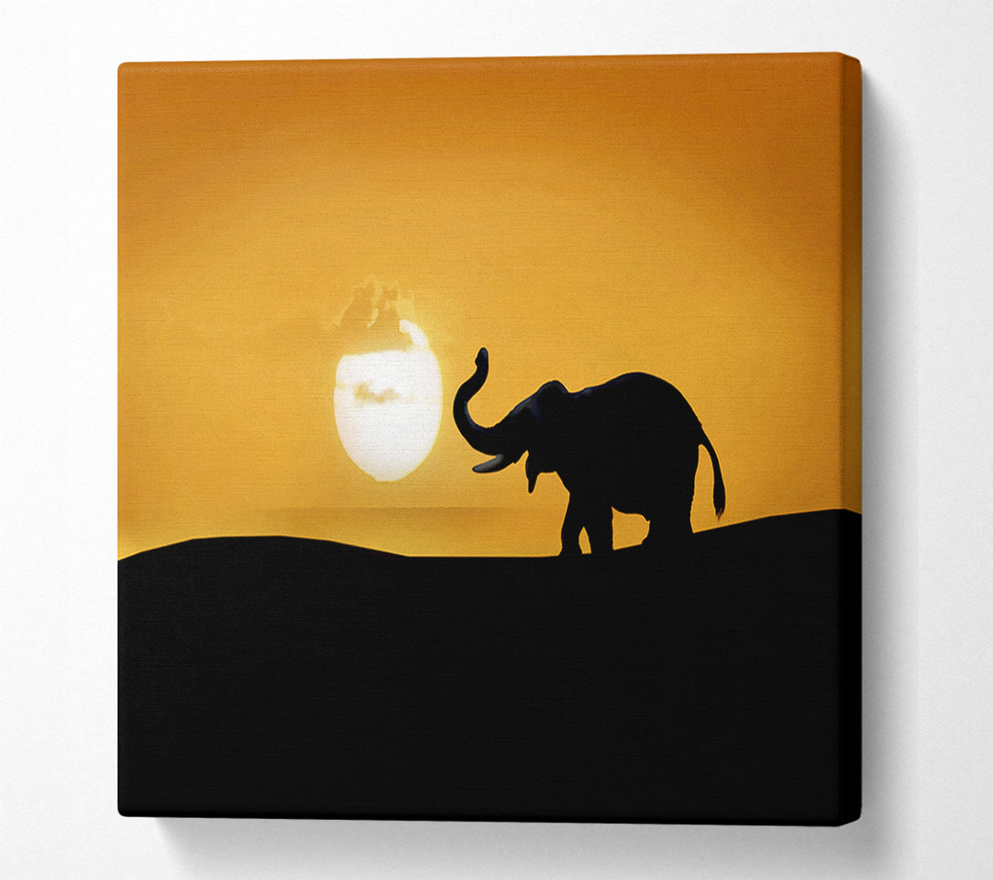  A Canvas Print of Safari Elephant Canvas Art