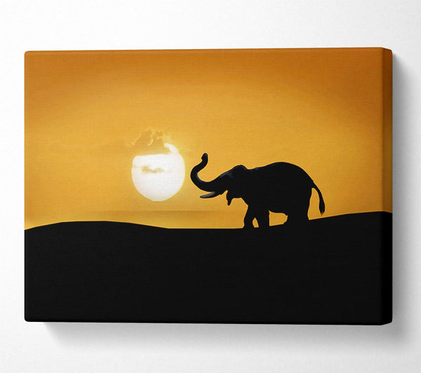  A Canvas Print of Safari Elephant Canvas Art