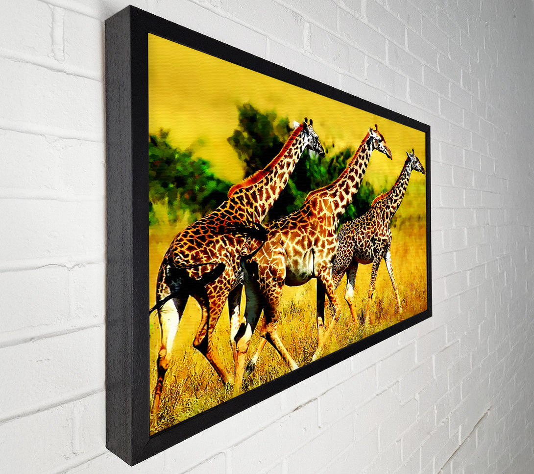  A Canvas Print of Safari Giraffe Canvas Wall Art
