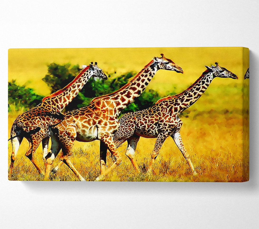  A Canvas Print of Safari Giraffe Canvas Wall Art
