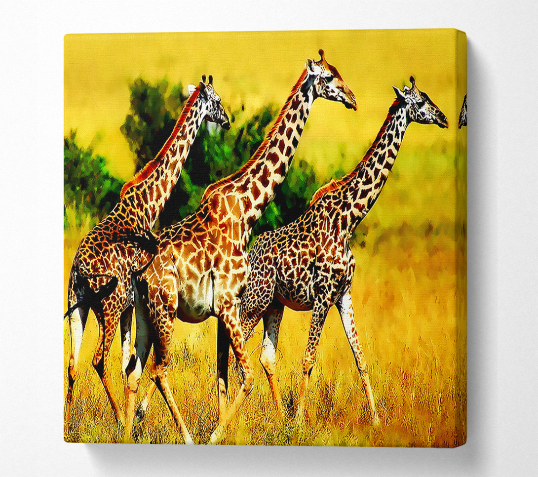  A Canvas Print of Safari Giraffe Canvas Wall Art