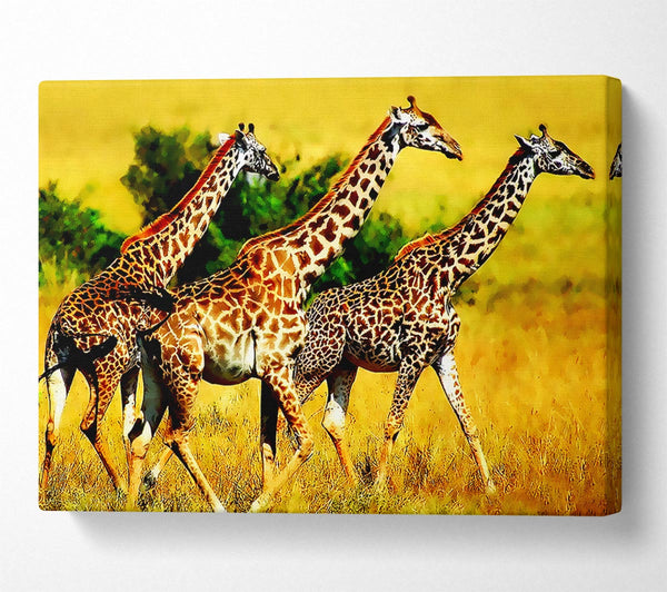  A Canvas Print of Safari Giraffe Canvas Wall Art