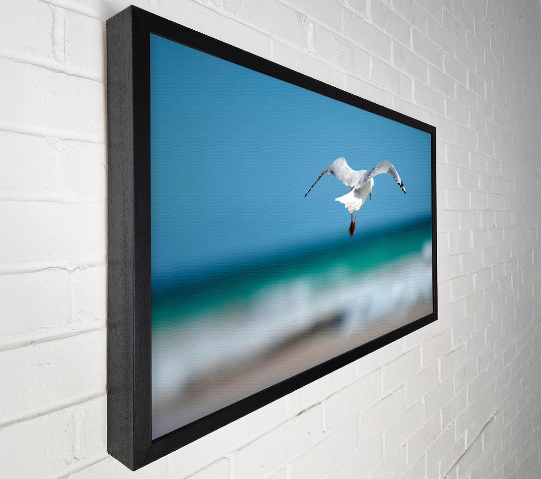  A Canvas Print of Seagull Over The Ocean Canvas Wall Art