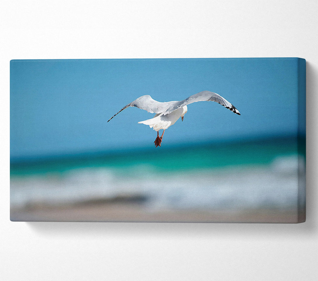  A Canvas Print of Seagull Over The Ocean Canvas Wall Art