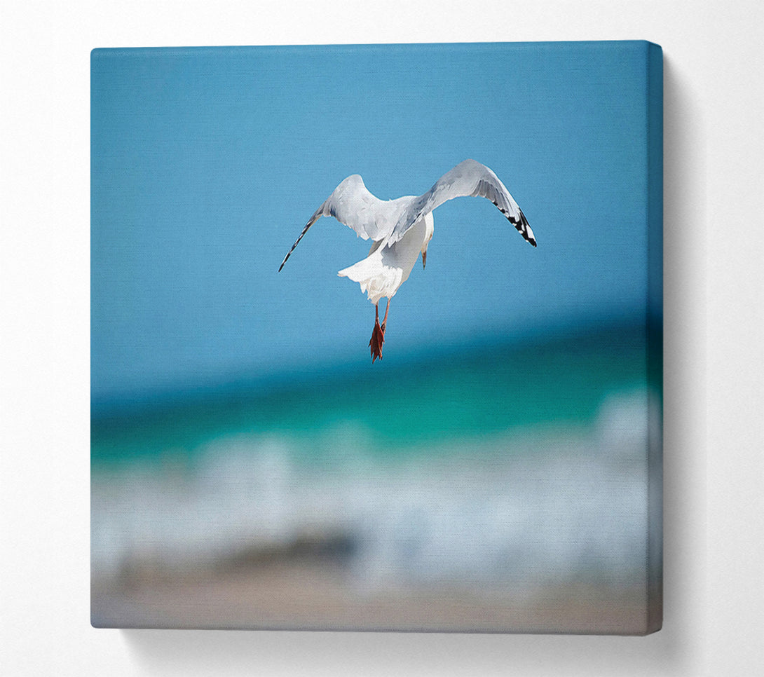  A Canvas Print of Seagull Over The Ocean Canvas Wall Art