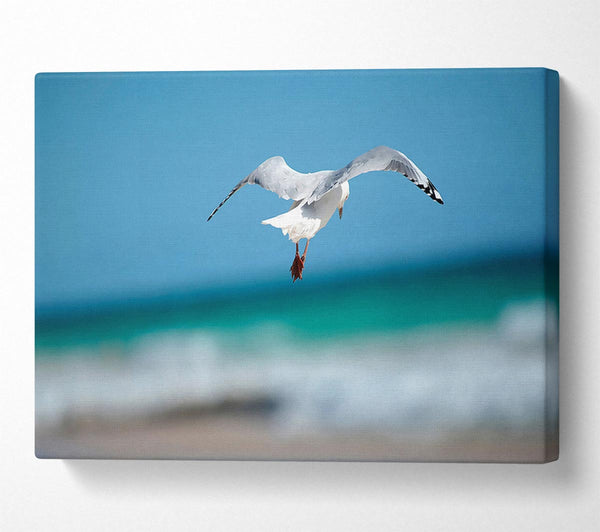  A Canvas Print of Seagull Over The Ocean Canvas Wall Art