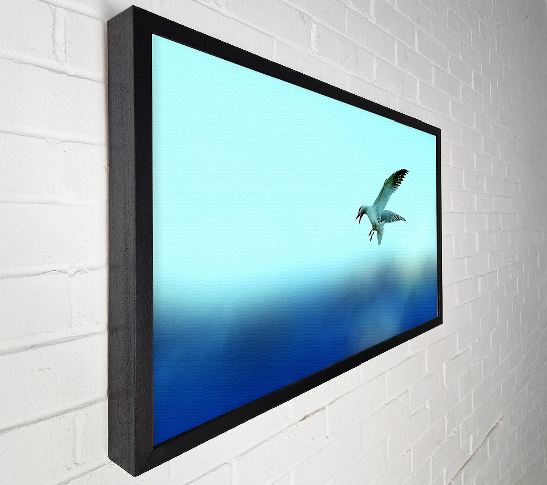  A Canvas Print of Seagull Canvas Print