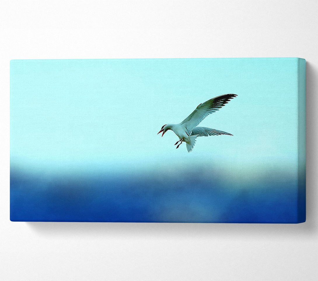  A Canvas Print of Seagull Canvas Print