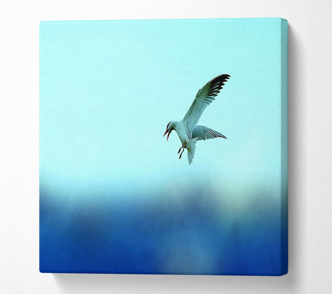  A Canvas Print of Seagull Canvas Print