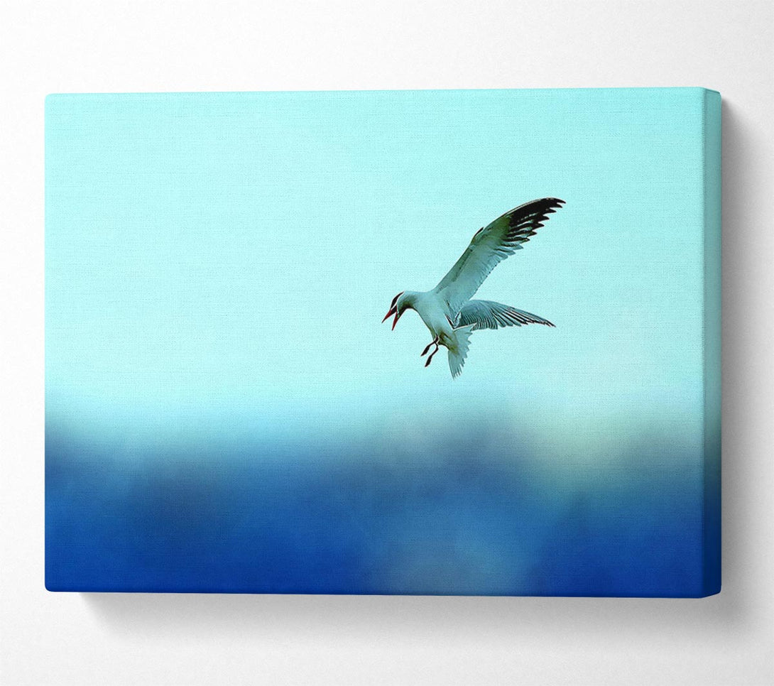  A Canvas Print of Seagull Canvas Print