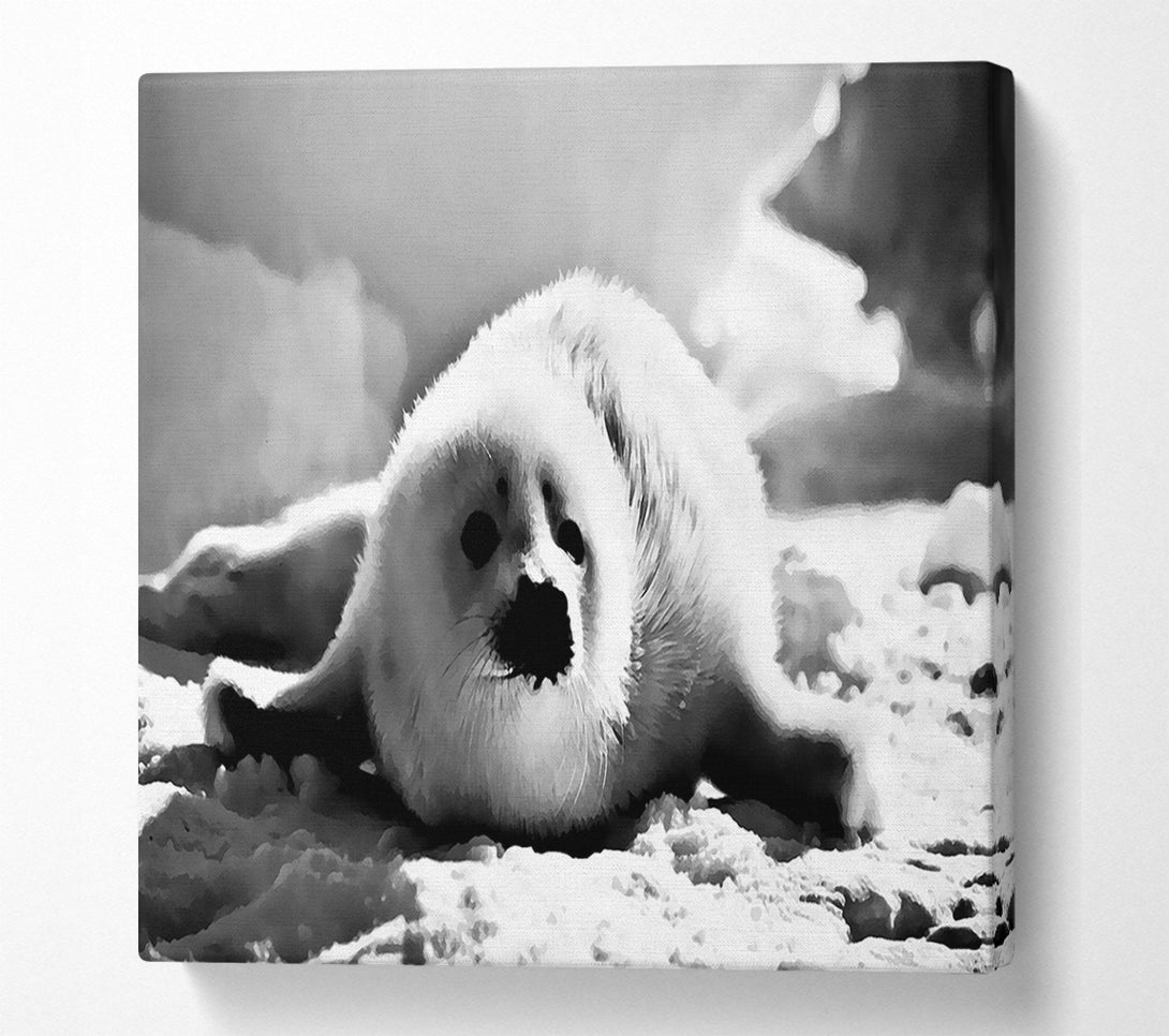  A Canvas Print of Seal Pup Canvas Print