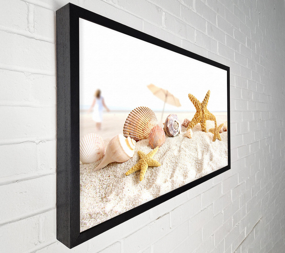  A Canvas Print of Seashells And Starfish On The Beach Canvas Wall Art