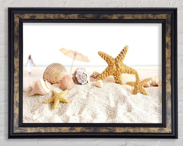 Seashells And Starfish On The Beach
