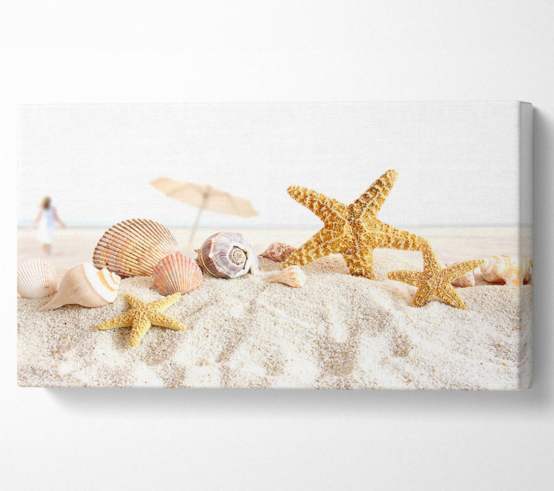  A Canvas Print of Seashells And Starfish On The Beach Canvas Wall Art