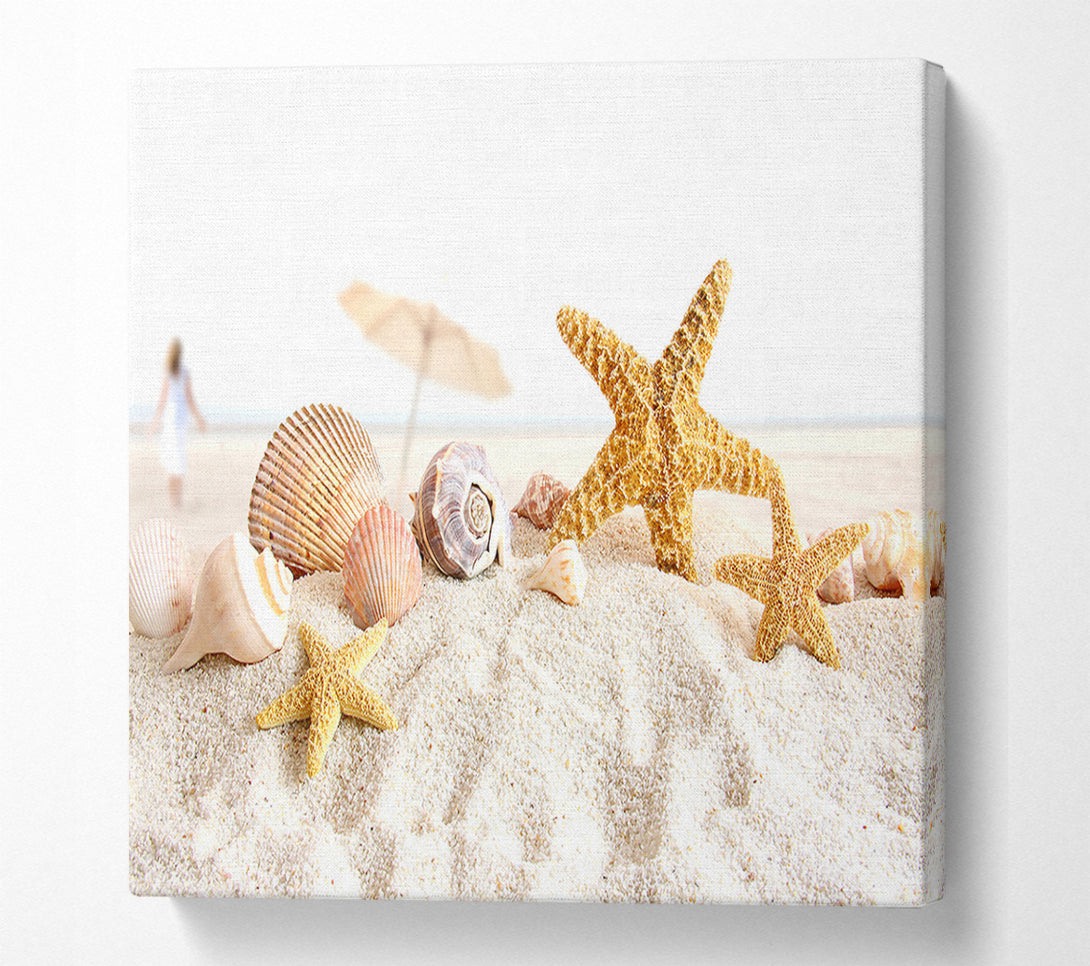  A Canvas Print of Seashells And Starfish On The Beach Canvas Wall Art