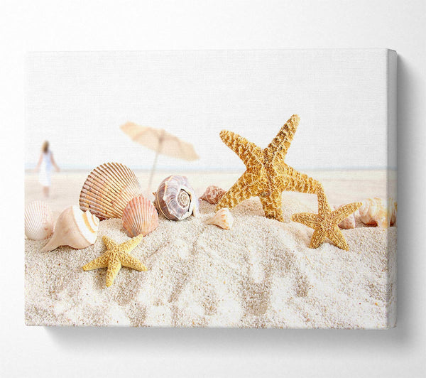  A Canvas Print of Seashells And Starfish On The Beach Canvas Wall Art