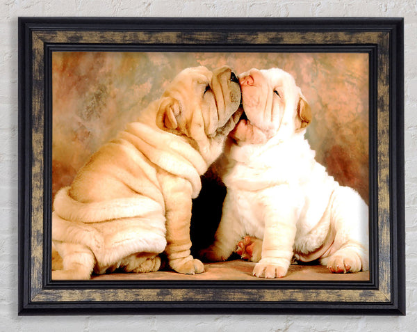 Shar Pei Puppies Framed Print