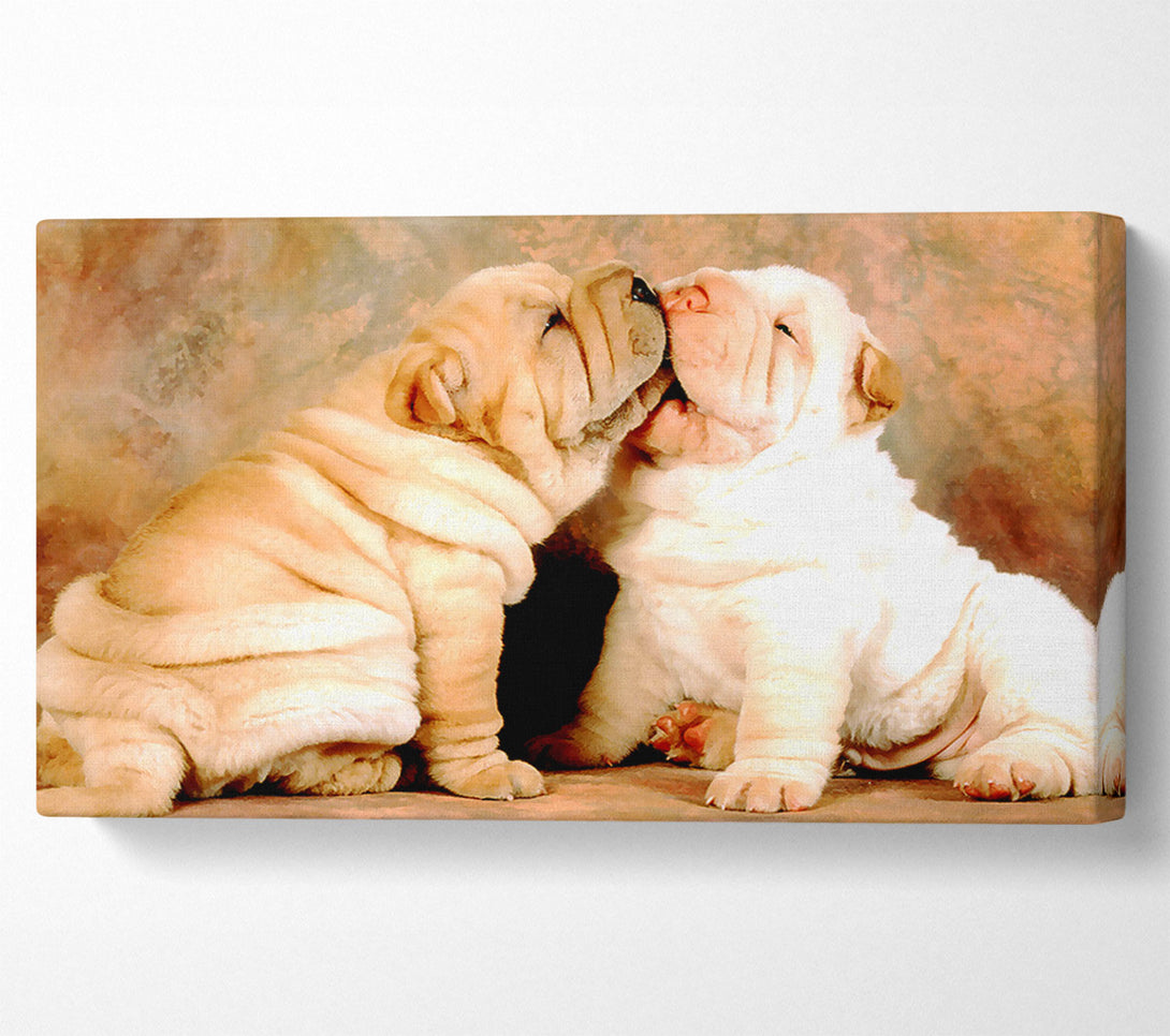  A Canvas Print of Shar Pei Puppies Canvas Print