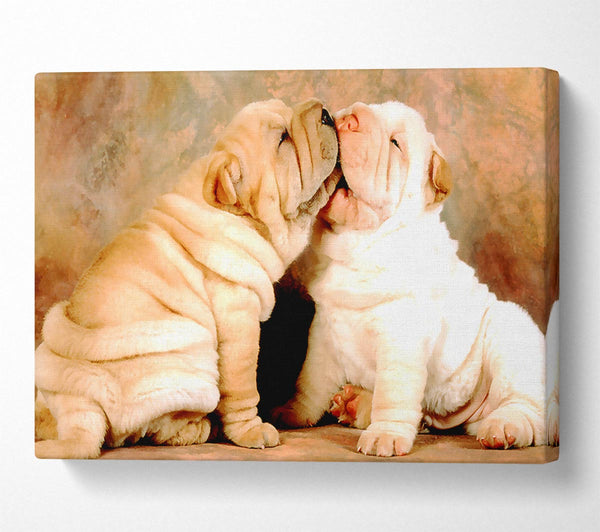  A Canvas Print of Shar Pei Puppies Canvas Print