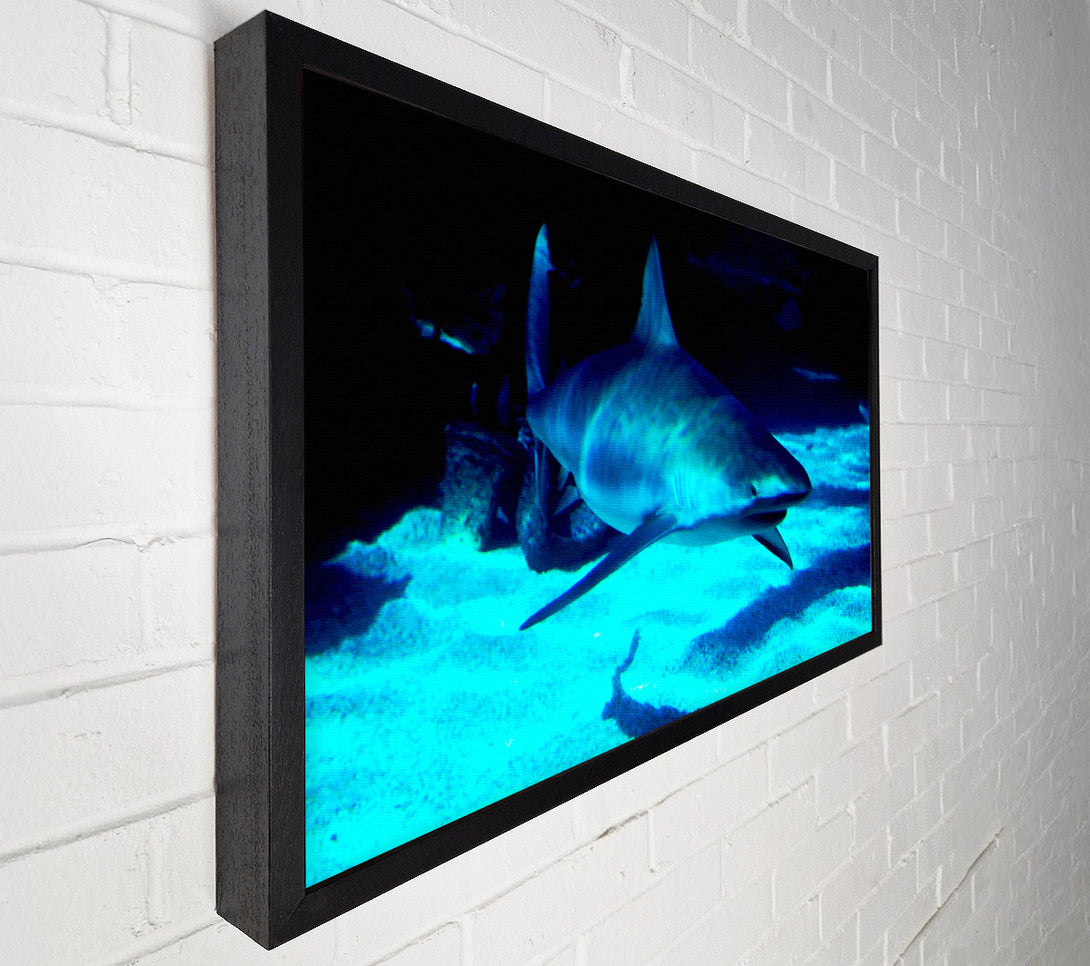  A Canvas Print of Shark Hunt Canvas Art