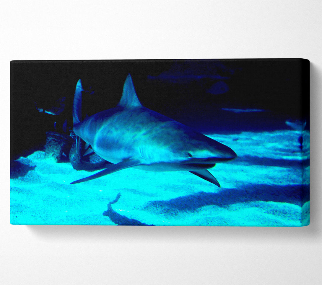  A Canvas Print of Shark Hunt Canvas Art