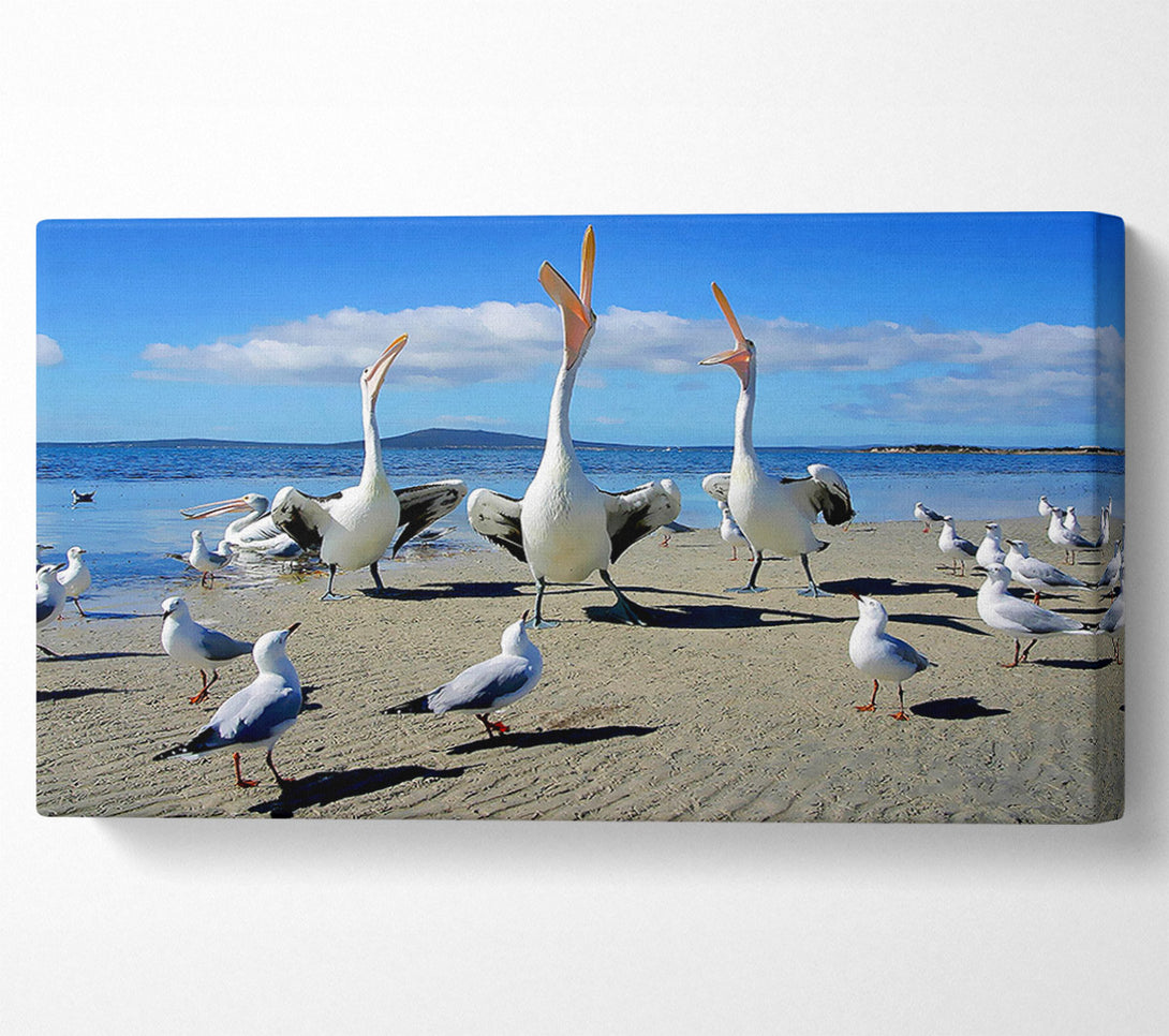  A Canvas Print of Singing Seagulls Canvas Wall Art