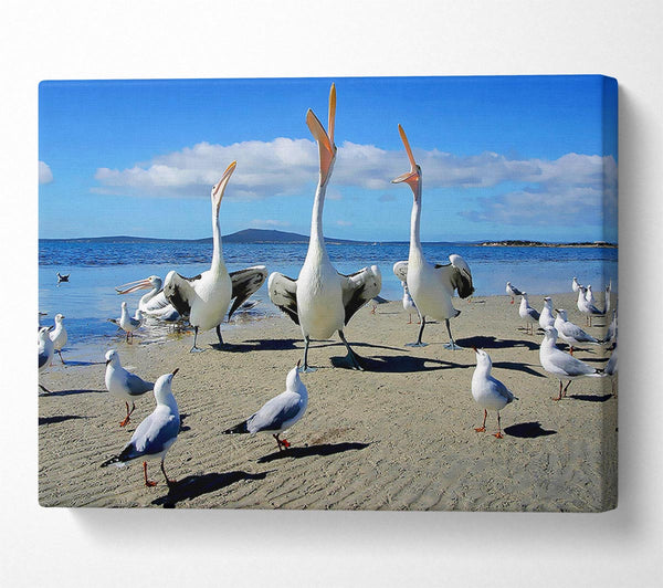  A Canvas Print of Singing Seagulls Canvas Wall Art