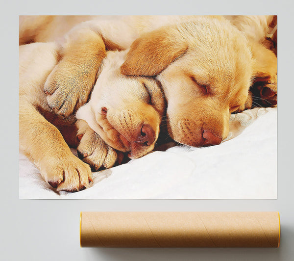 Sleeping Puppies Print