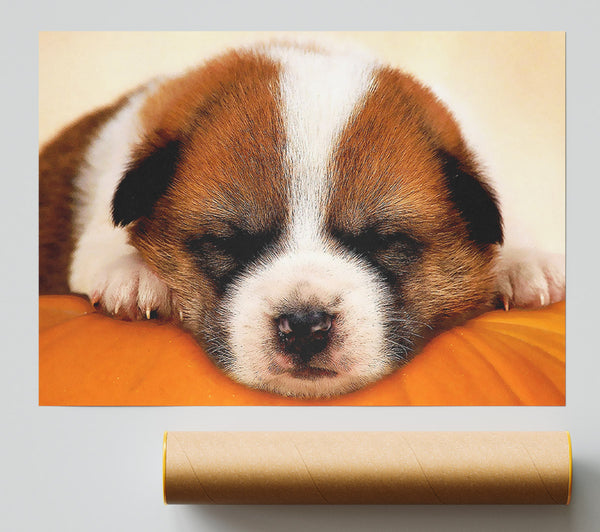 Sleeping Puppy Love Print