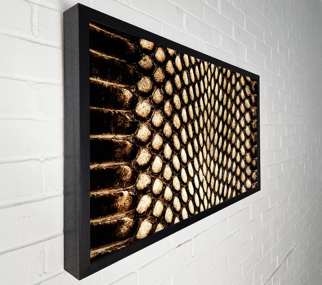  A Canvas Print of Snake Scales Canvas Wall Art
