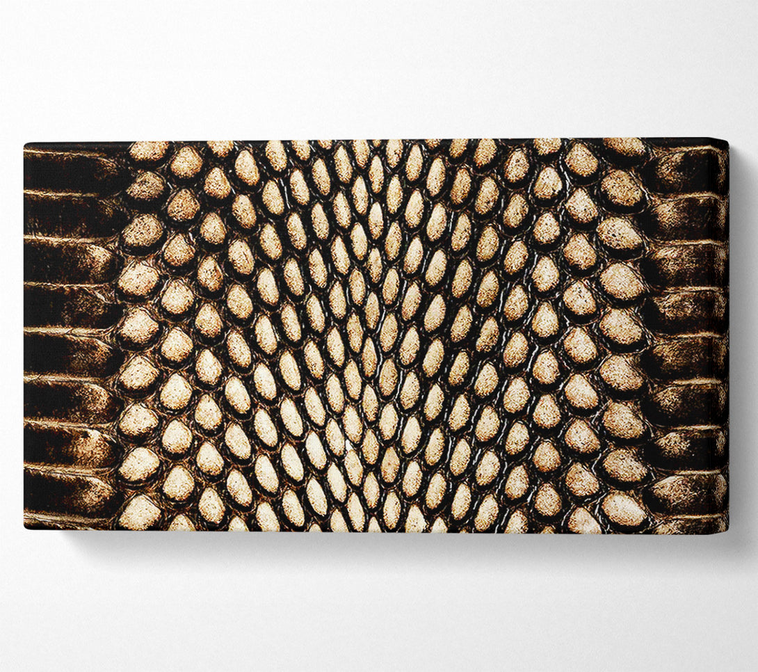  A Canvas Print of Snake Scales Canvas Wall Art