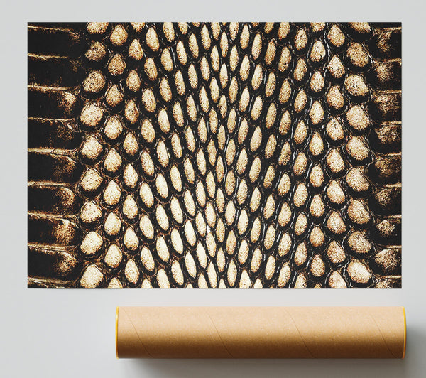 Snake Scales Giclee Print