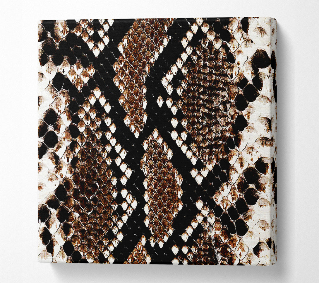  A Canvas Print of Snake Skin Canvas Wall Art
