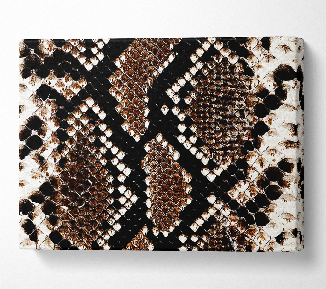  A Canvas Print of Snake Skin Canvas Wall Art