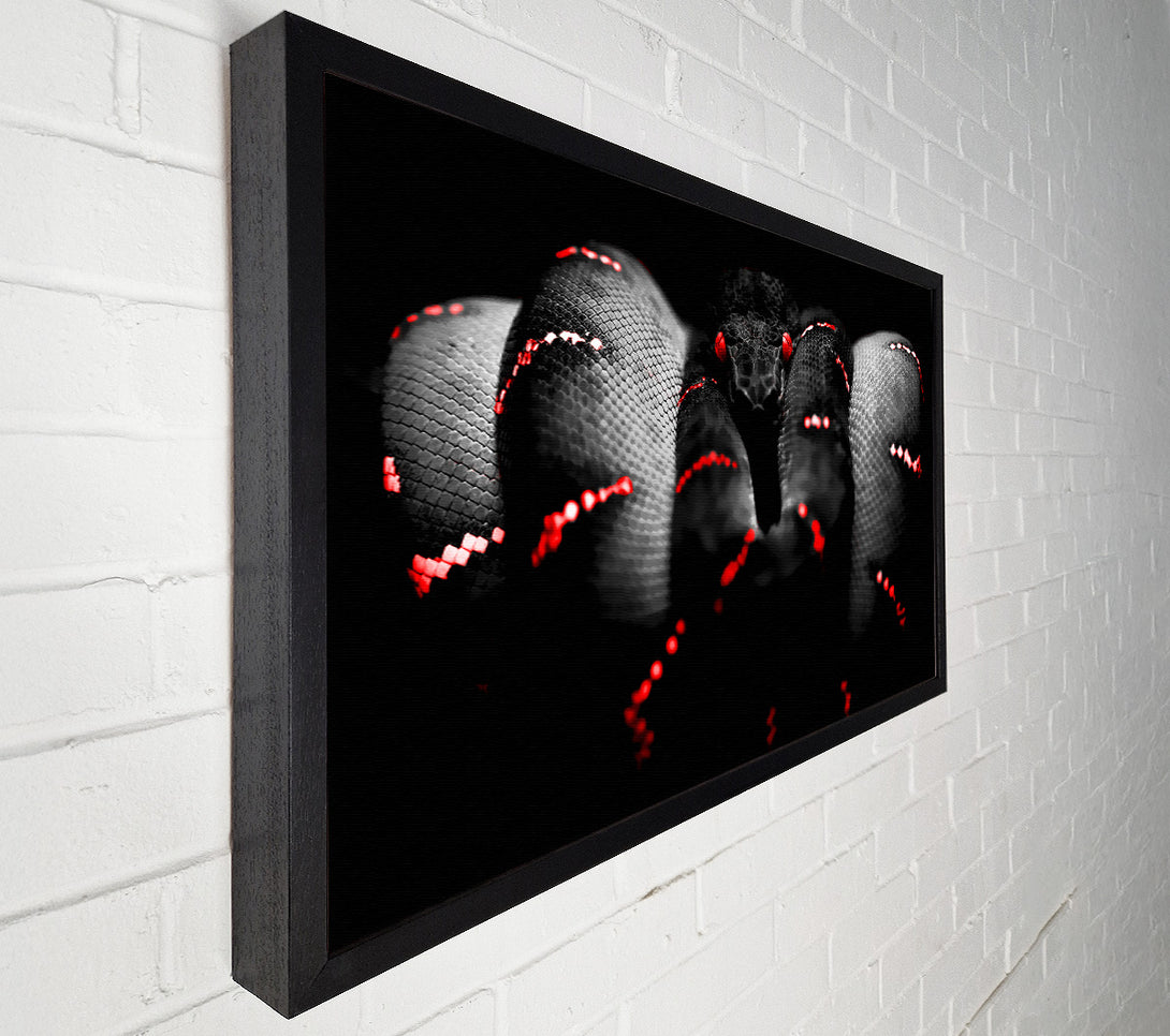  A Canvas Print of Snake Venom Canvas Art