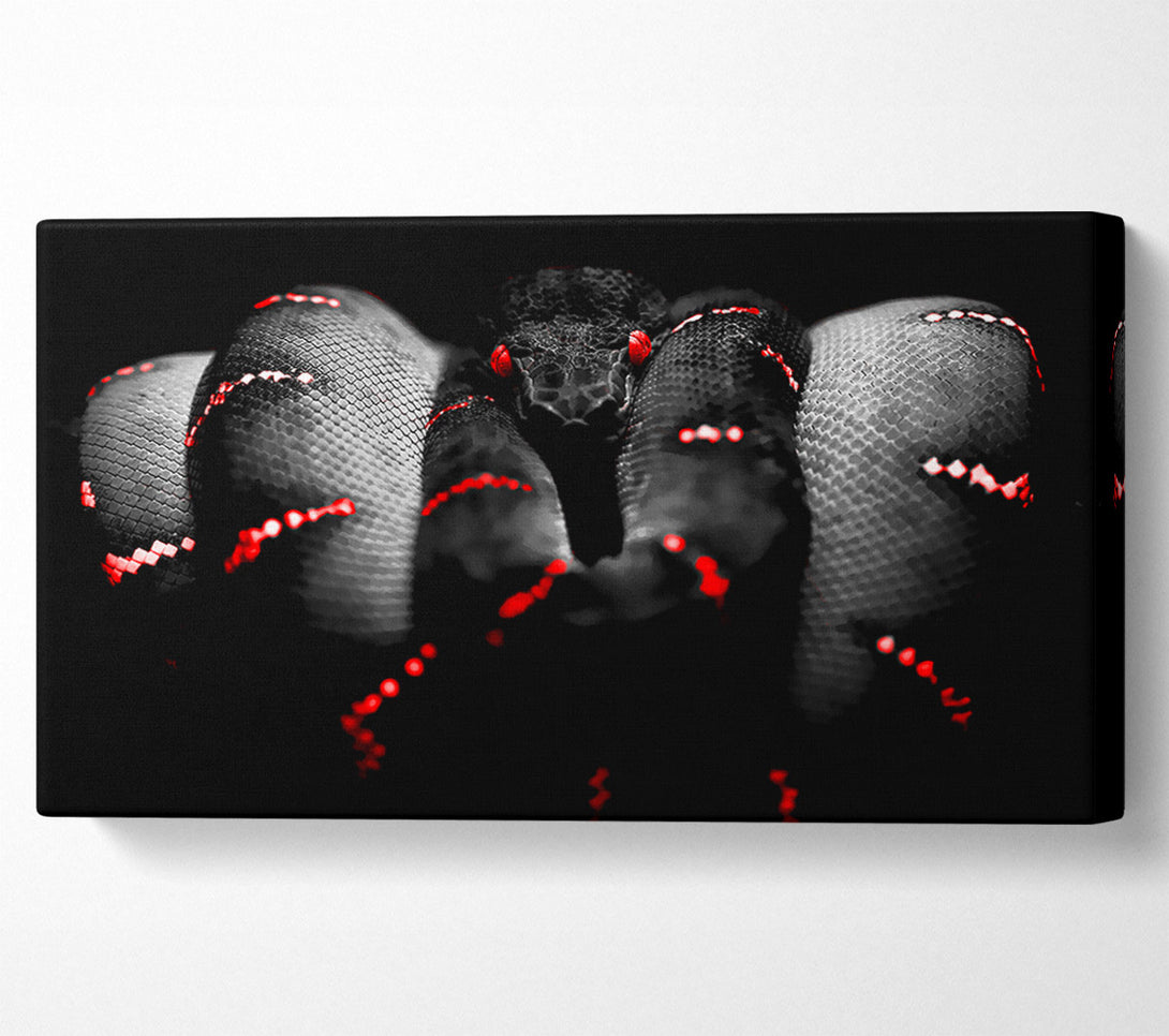  A Canvas Print of Snake Venom Canvas Art