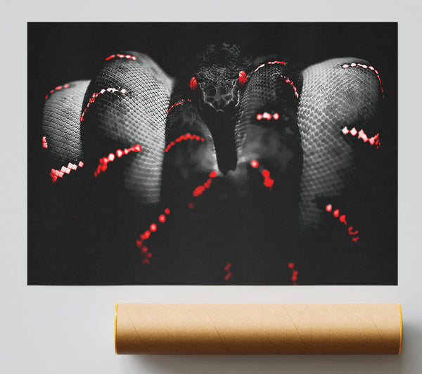 Snake Venom Poster