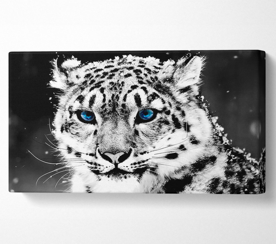  A Canvas Print of Snow Blue Eye Leopard Canvas Wall Art