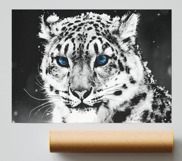Snow Blue Eye Leopard Print