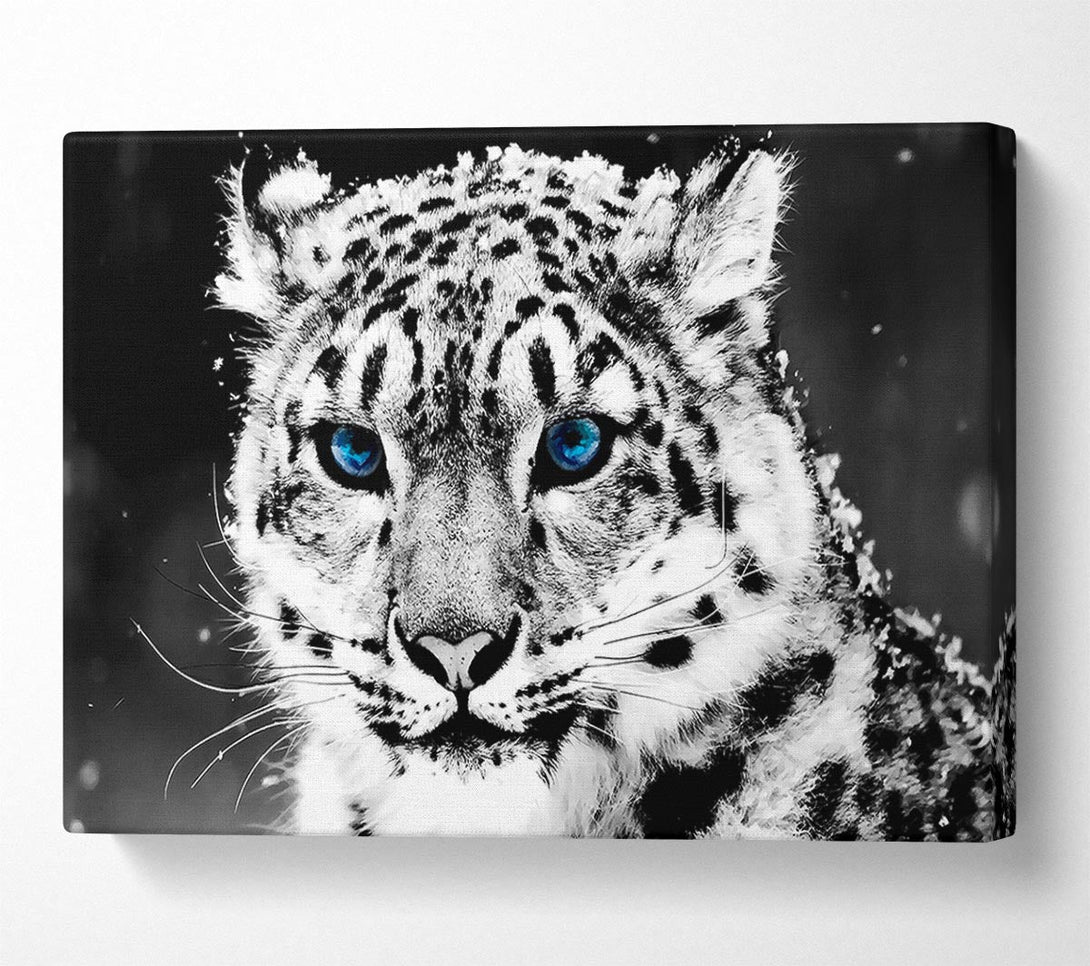  A Canvas Print of Snow Blue Eye Leopard Canvas Wall Art