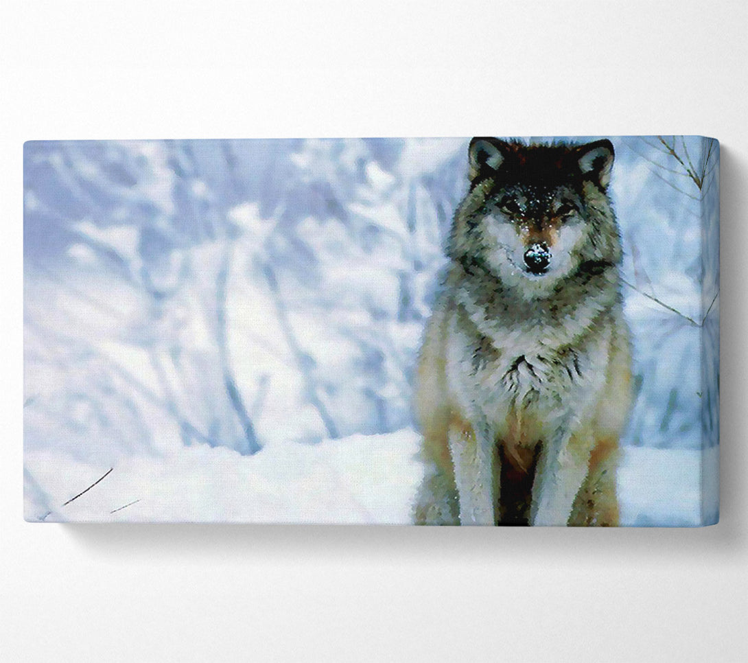  A Canvas Print of Snow Wolf Canvas Art