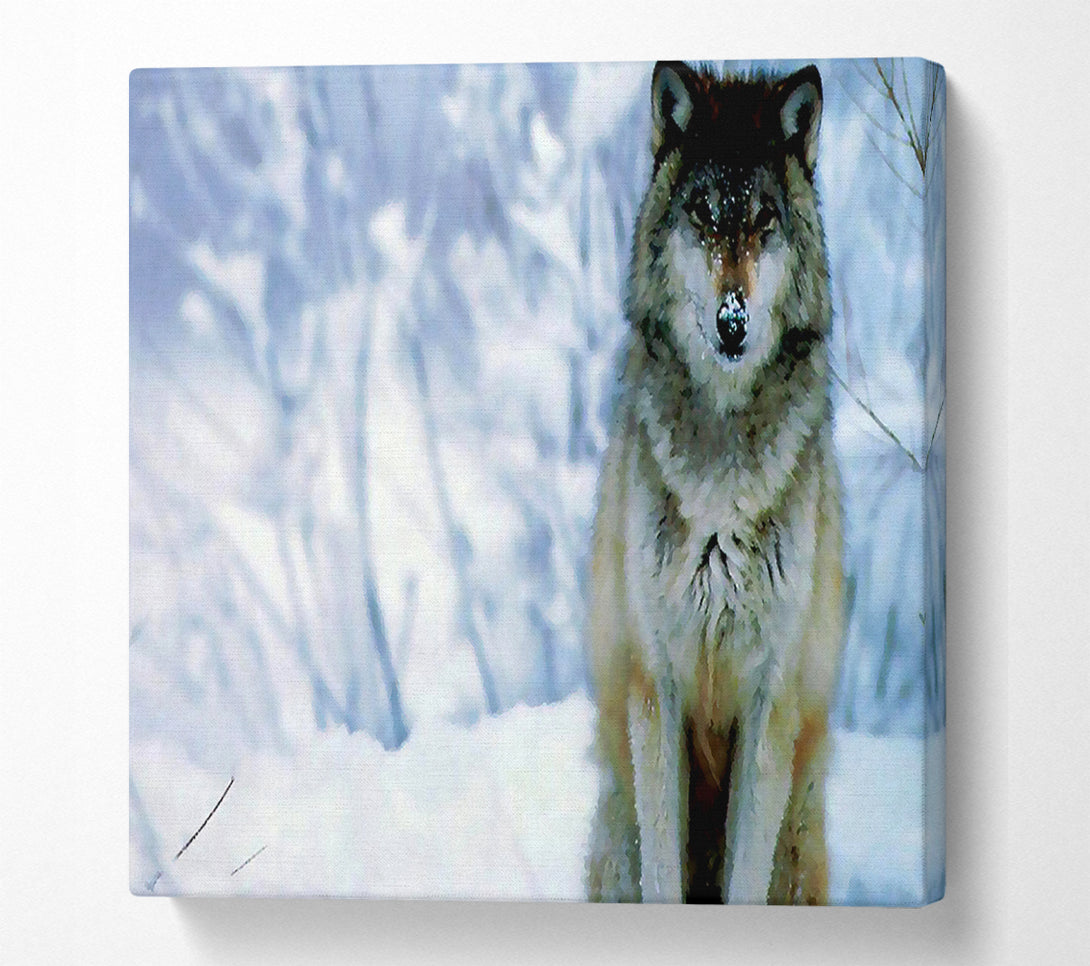  A Canvas Print of Snow Wolf Canvas Art
