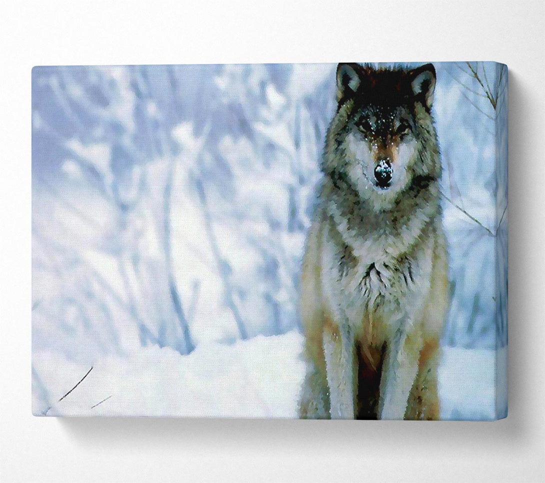  A Canvas Print of Snow Wolf Canvas Art