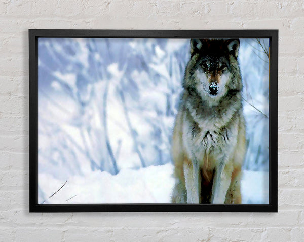 Schneewolf